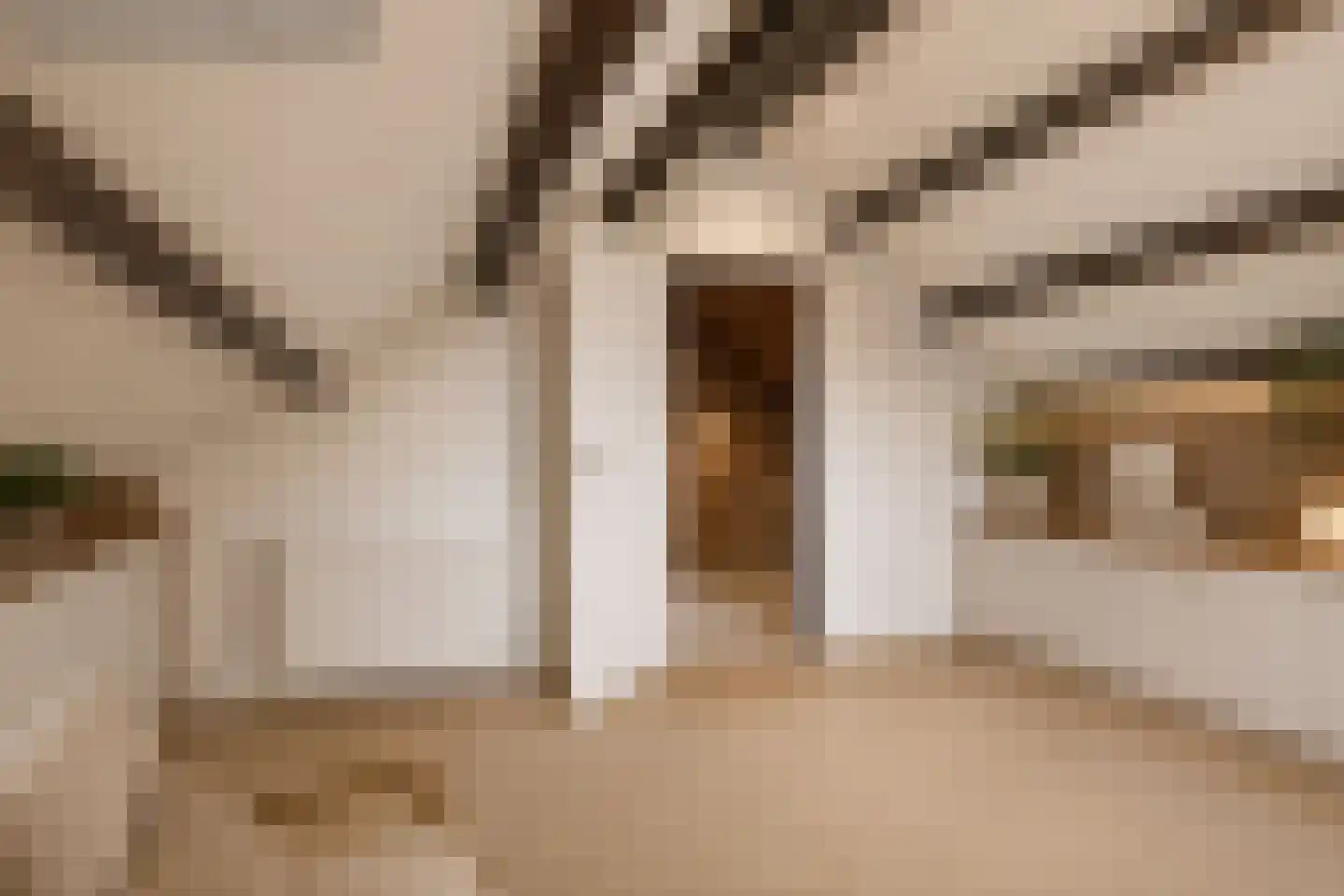 De Huikert 1 Nuenen thumbnail 25