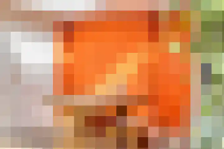 De Huikert 8 Nuenen thumbnail 18
