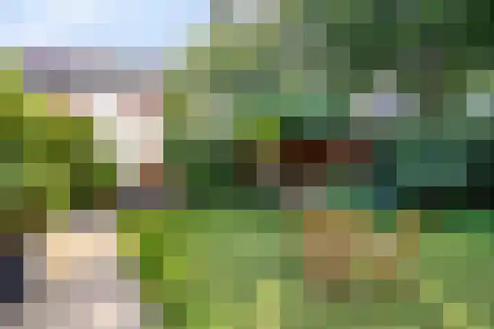 De Huikert 8 Nuenen thumbnail 19