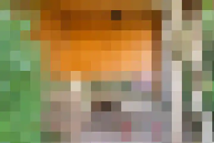 De Huikert 8 Nuenen thumbnail 21