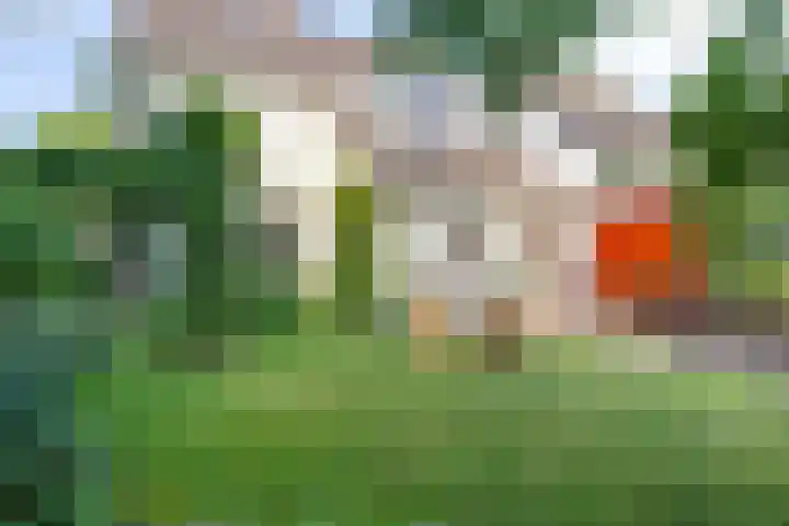 De Huikert 8 Nuenen thumbnail 22