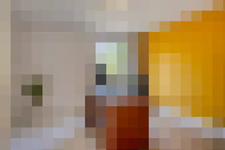 De Huikert 8 Nuenen thumbnail 30