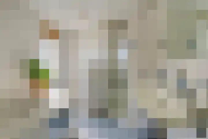 De Huikert 8 Nuenen thumbnail 32