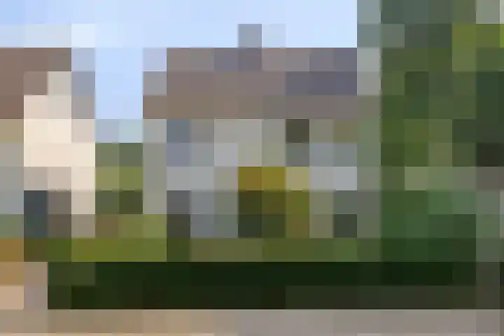 De Huikert 8 Nuenen thumbnail 37