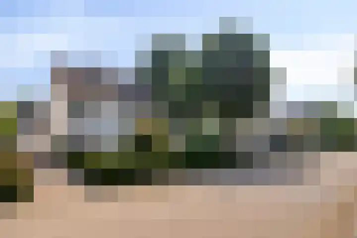 De Huikert 8 Nuenen thumbnail 38