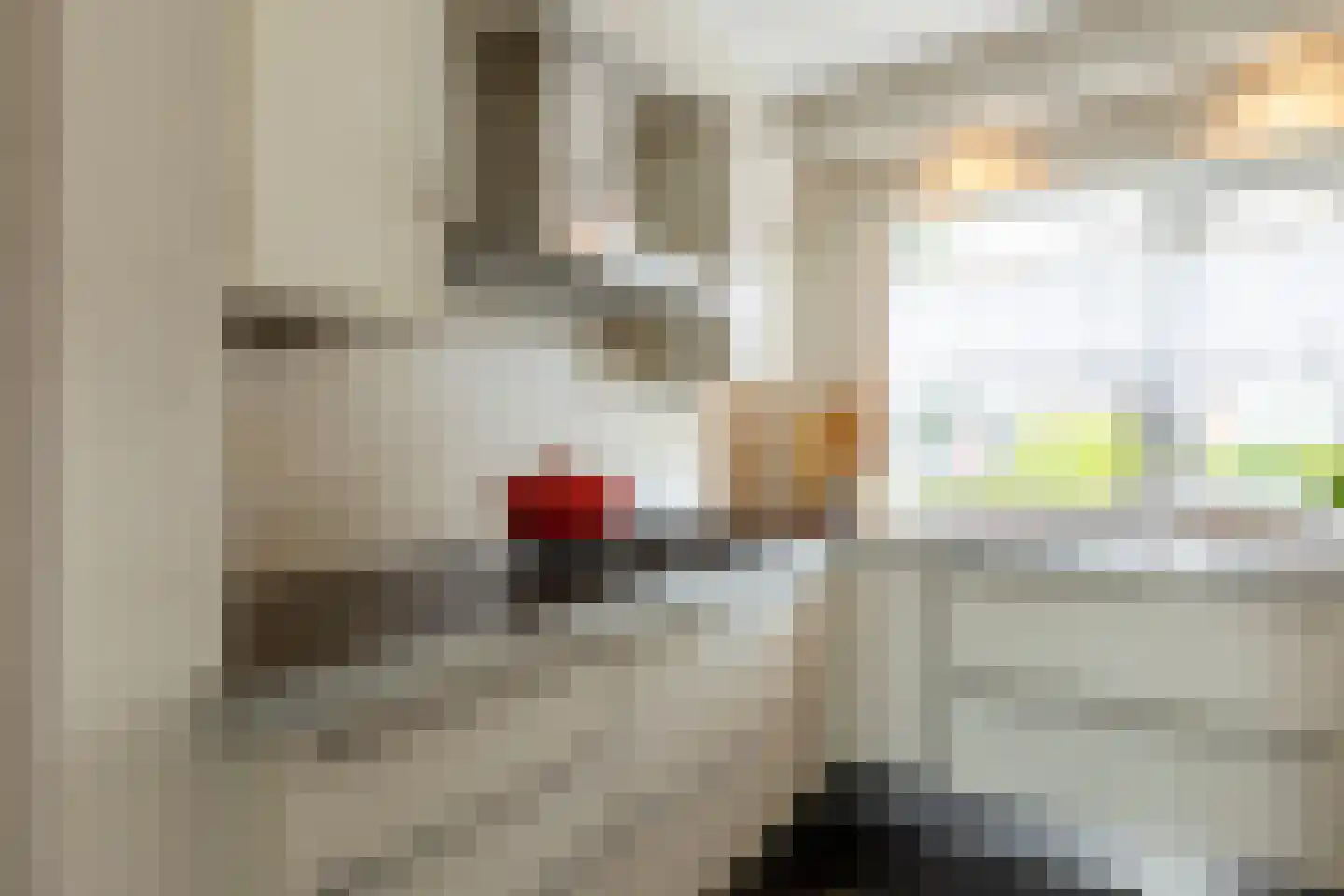 De Huipen 39 Waalre thumbnail 15