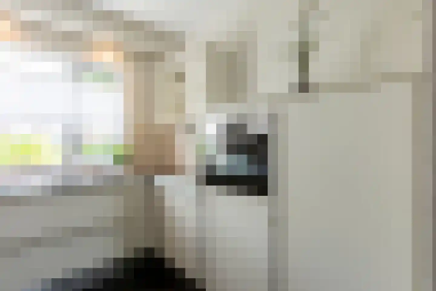 De Huipen 39 Waalre thumbnail 16