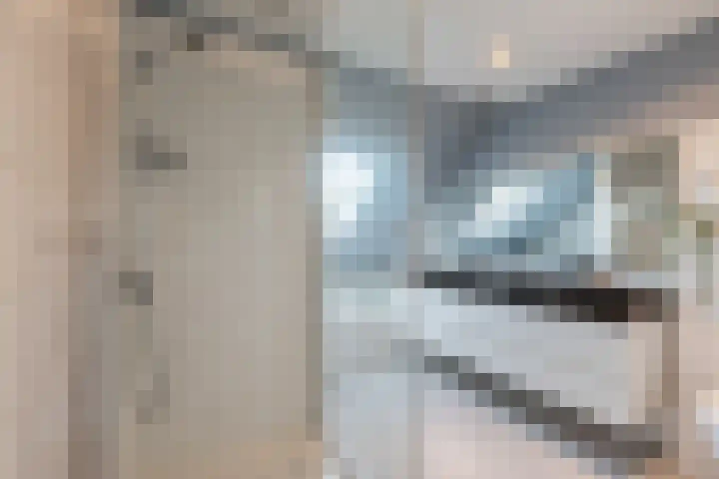 De Huipen 39 Waalre thumbnail 25