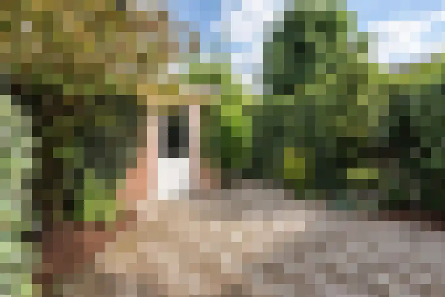 De Huipen 39 Waalre thumbnail 37
