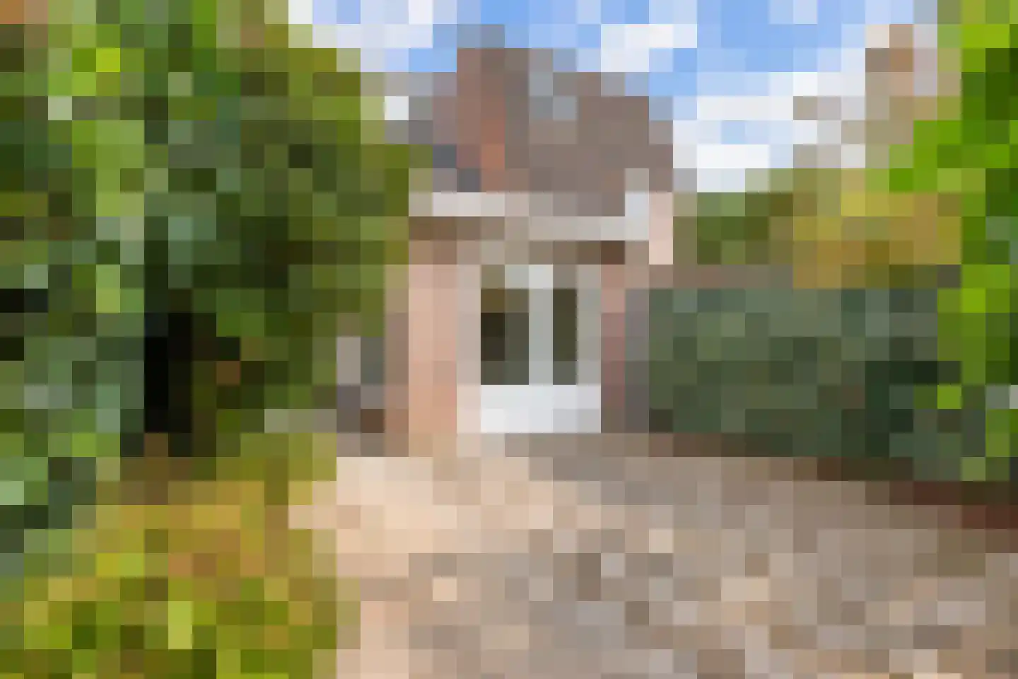 De Huipen 39 Waalre thumbnail 38