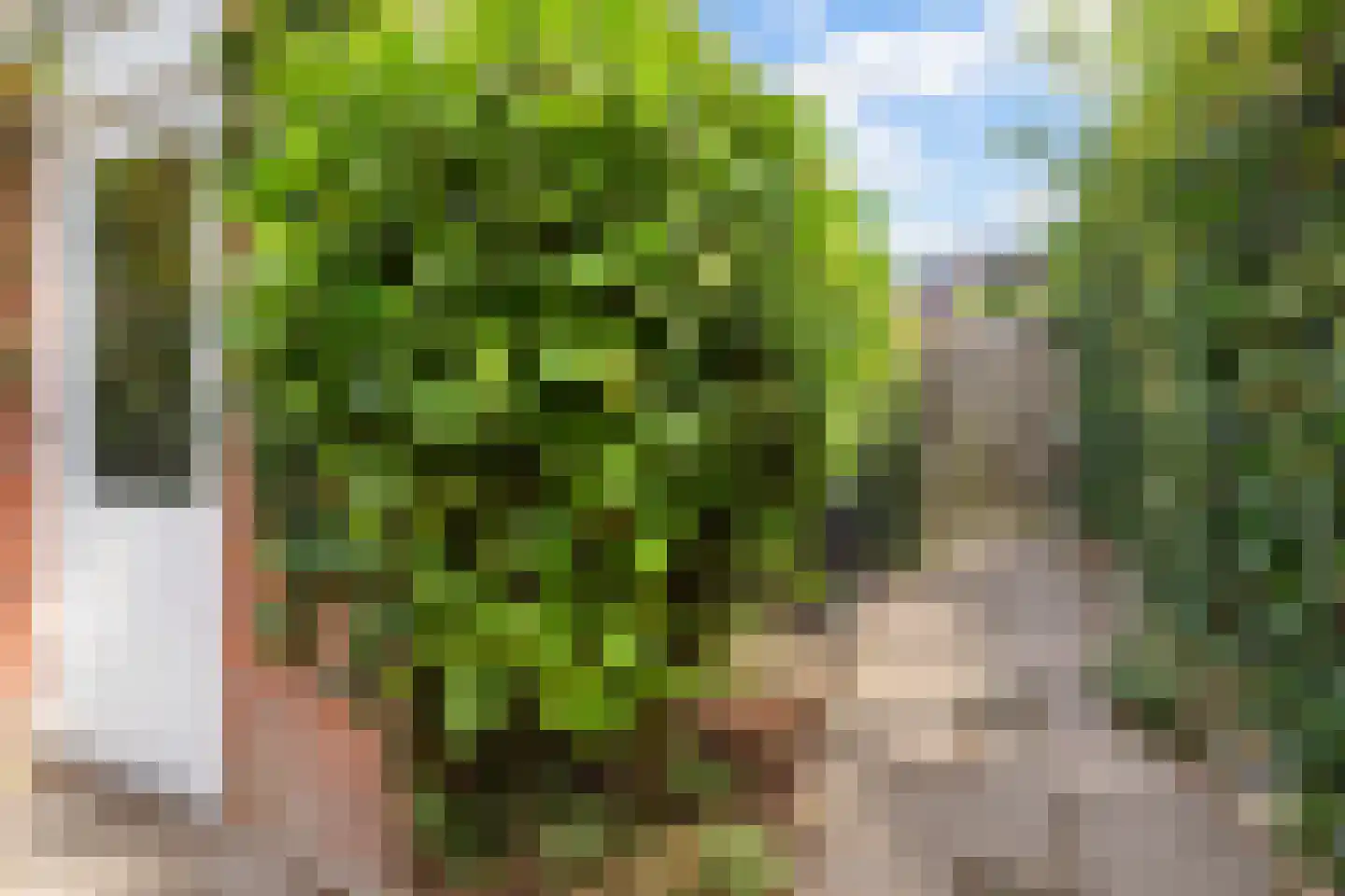 De Huipen 39 Waalre thumbnail 40
