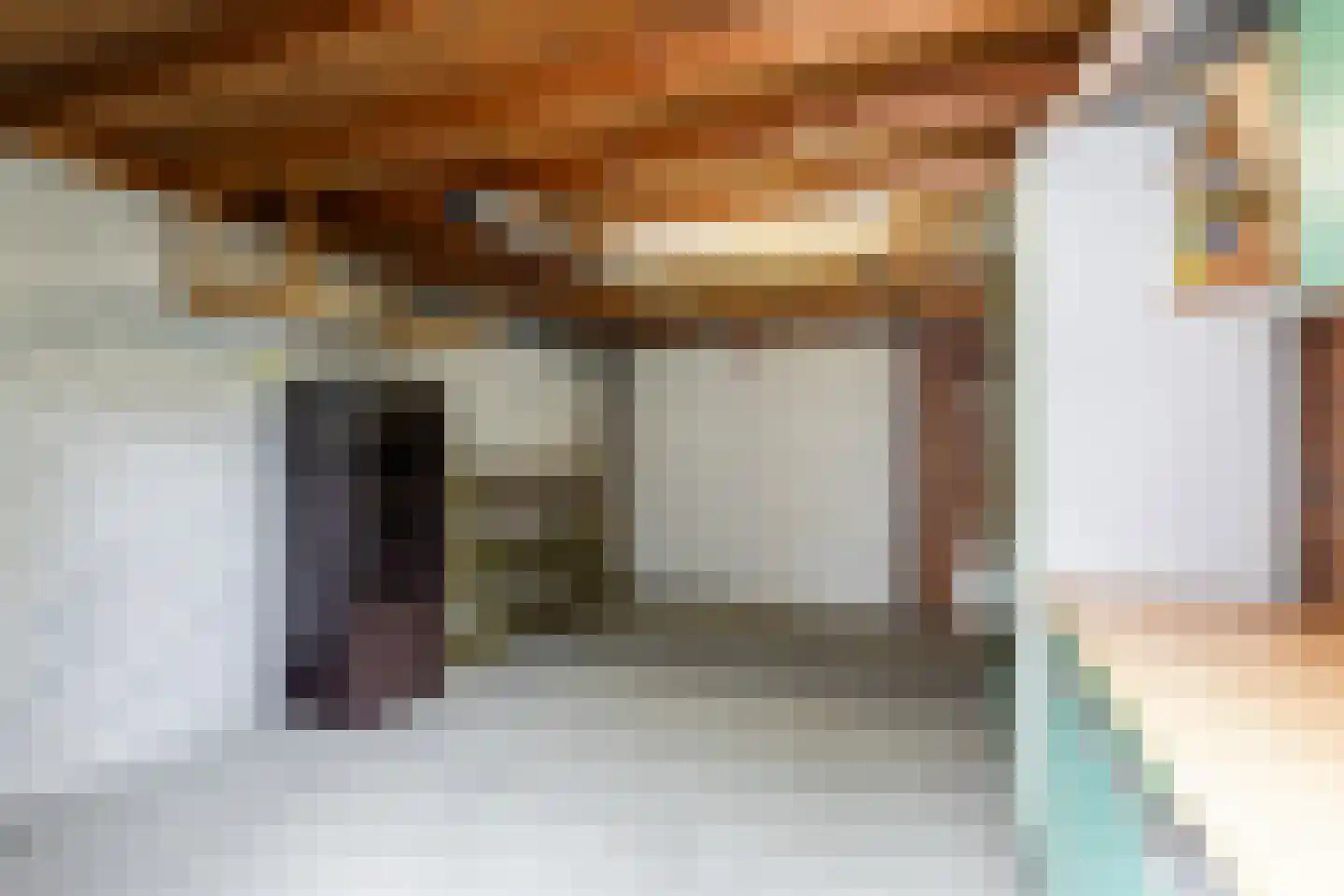 De Huipen 39 Waalre thumbnail 41