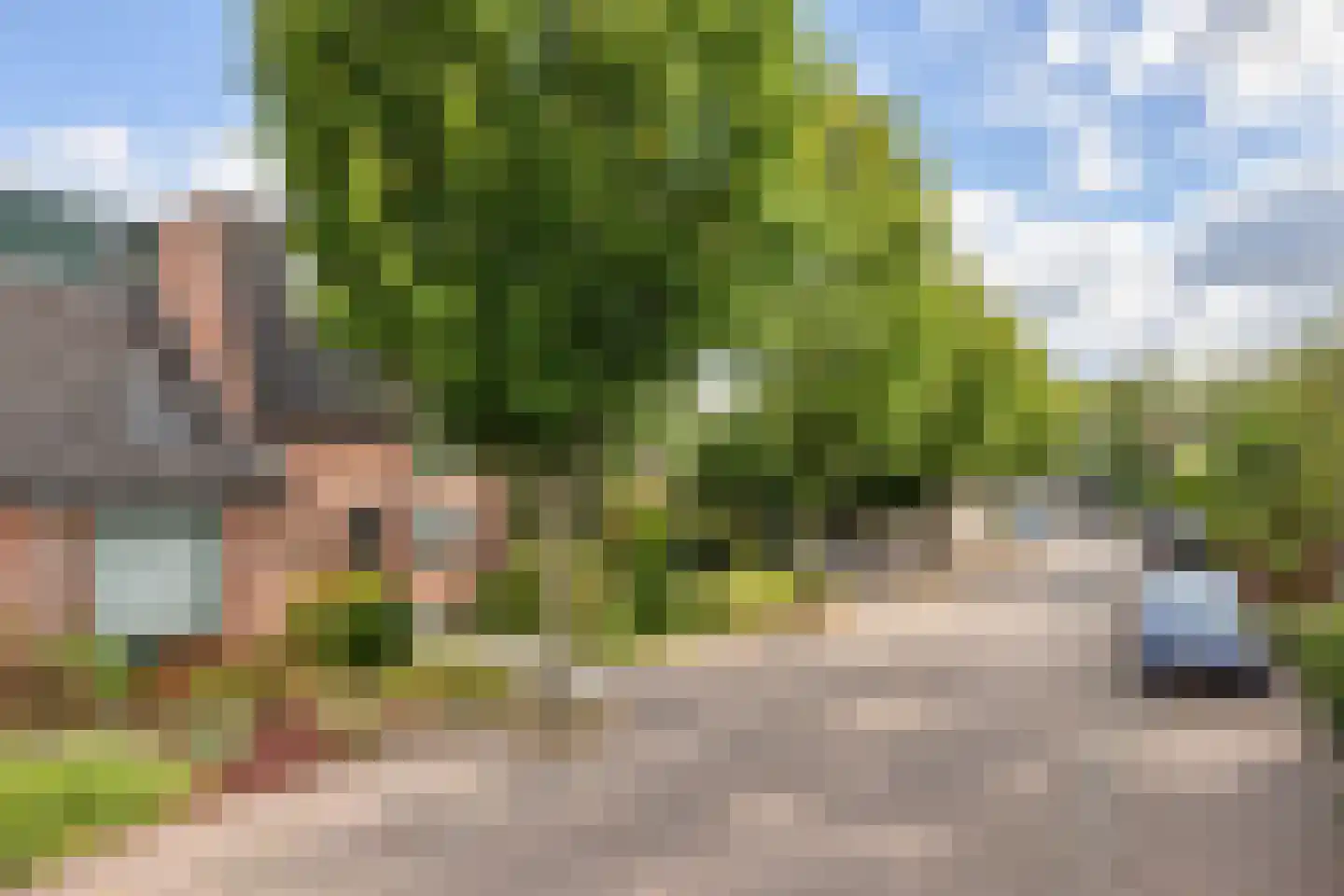 De Huipen 39 Waalre thumbnail 42