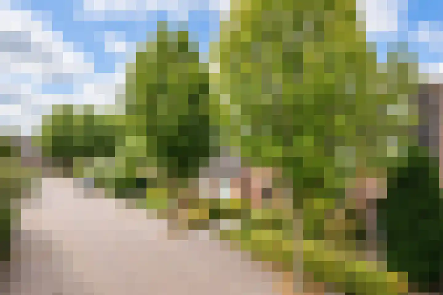 De Huipen 39 Waalre thumbnail 43