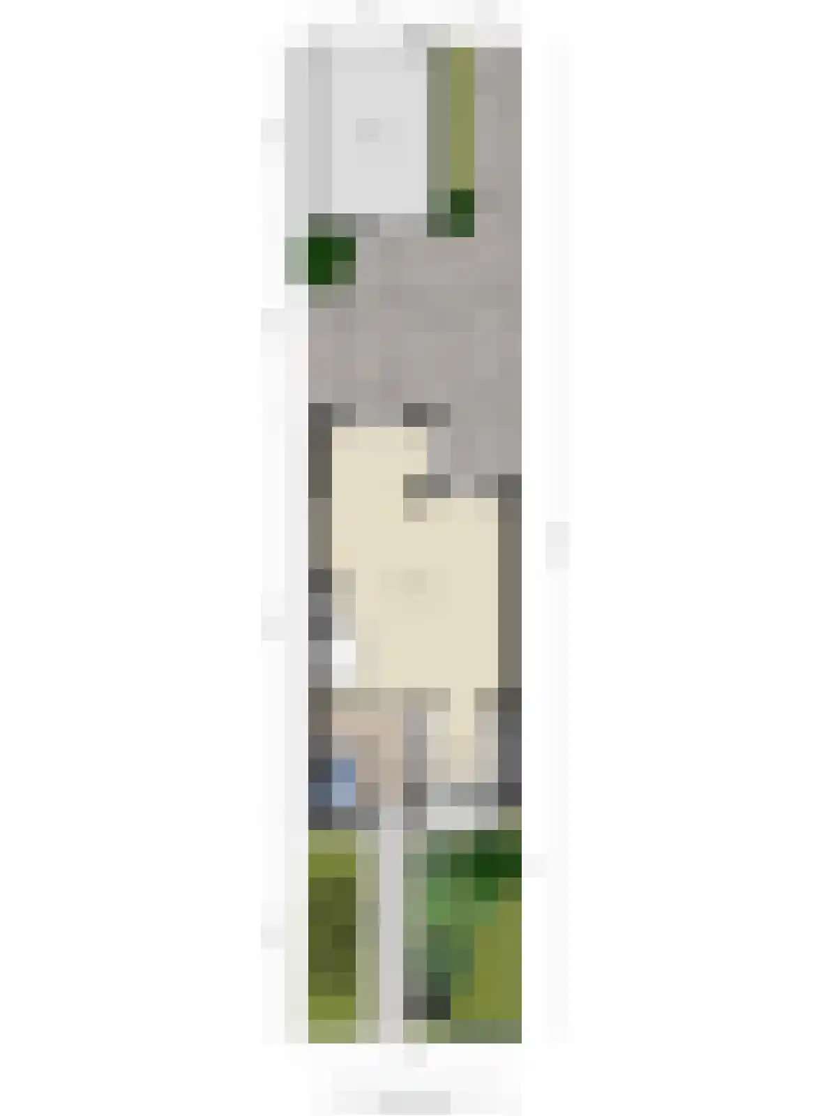 De Huipen 39 Waalre thumbnail 44