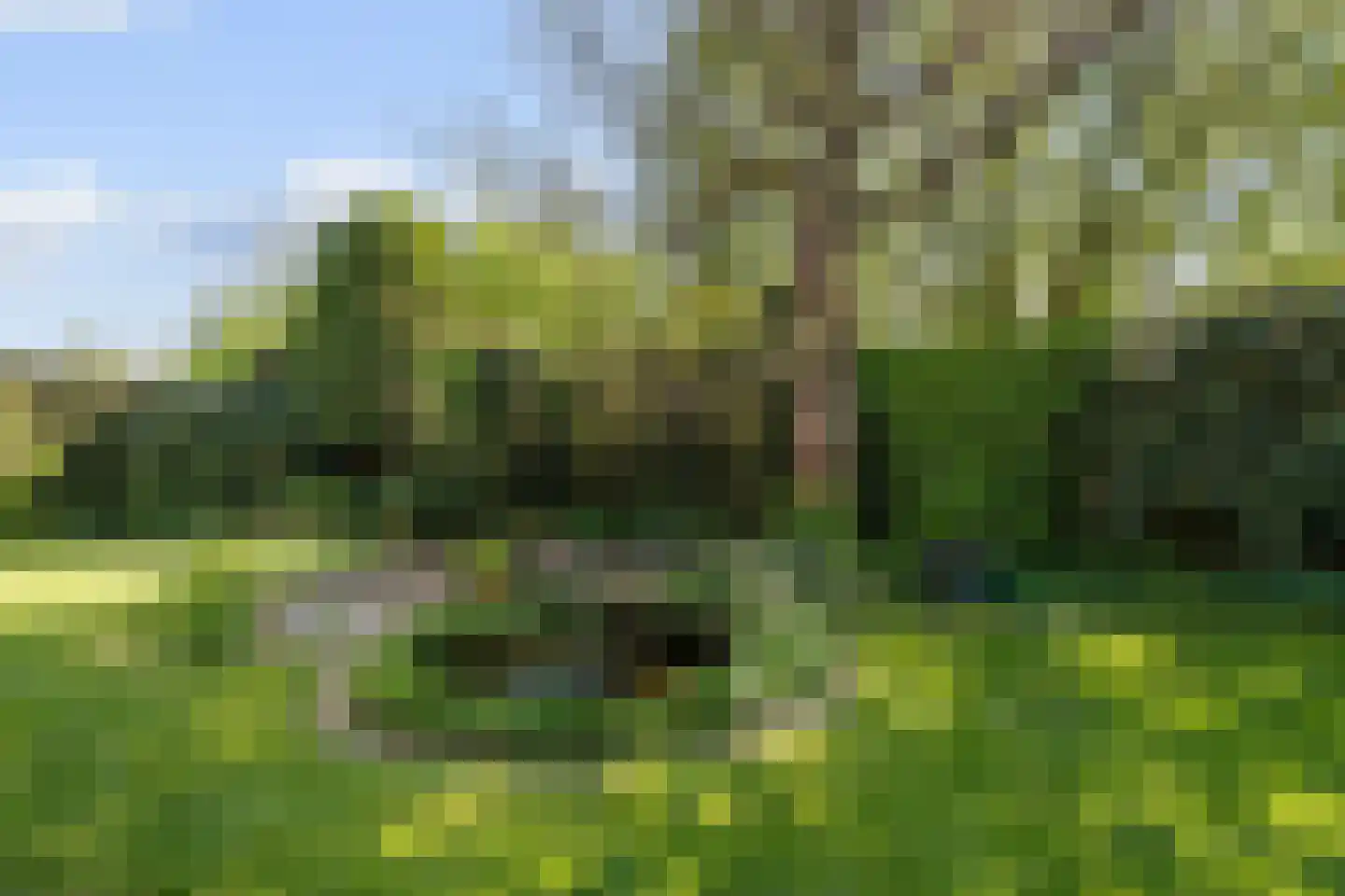 De Huisakker 18 's-Heerenberg thumbnail 30