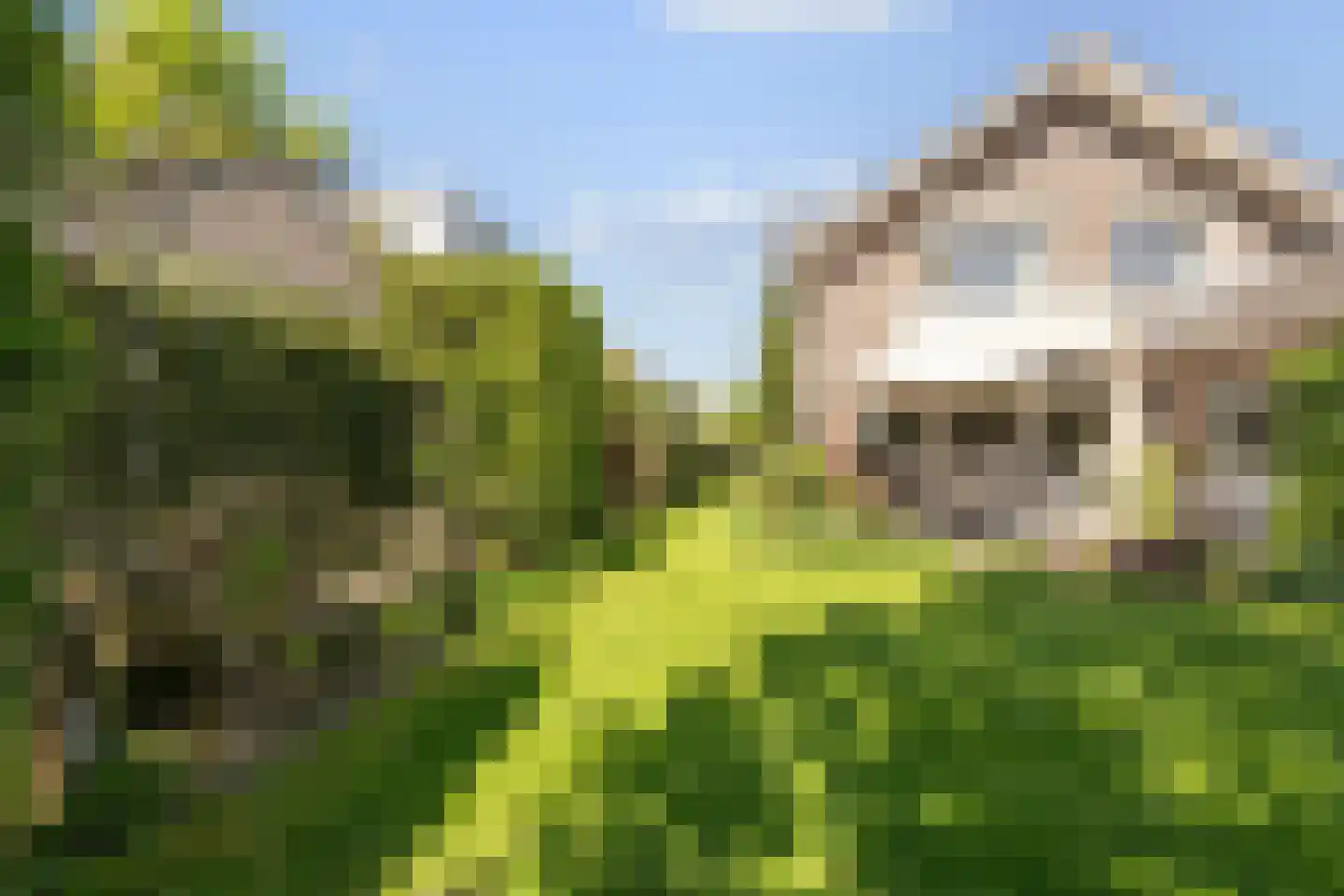 De Huisakker 18 's-Heerenberg thumbnail 32