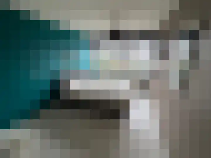 de Huisstede 45 Olst thumbnail 10