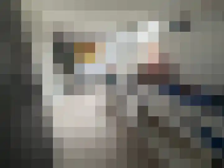 de Huisstede 45 Olst thumbnail 13