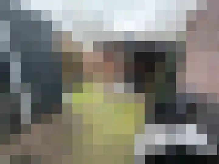 de Huisstede 45 Olst thumbnail 17