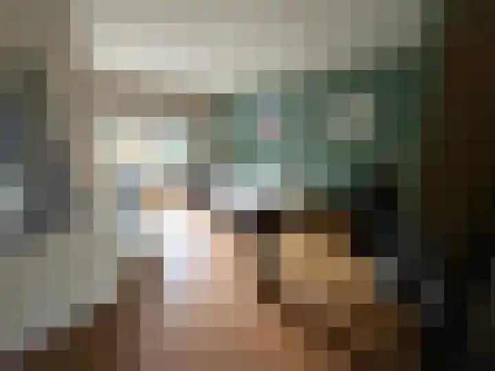 de Huisstede 45 Olst thumbnail 4