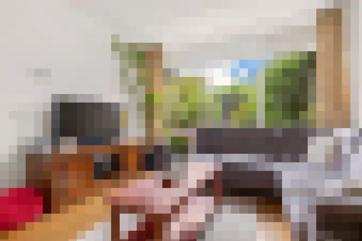 de Huisstede 47 Olst thumbnail 7