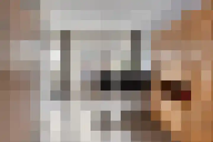 de Huisstede 7 Olst thumbnail 10