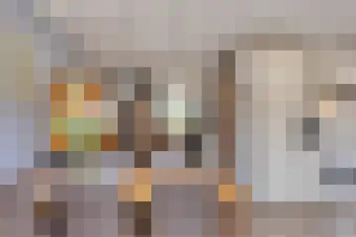 de Huisstede 7 Olst thumbnail 12