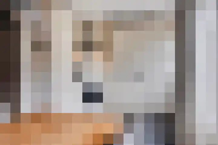de Huisstede 7 Olst thumbnail 13