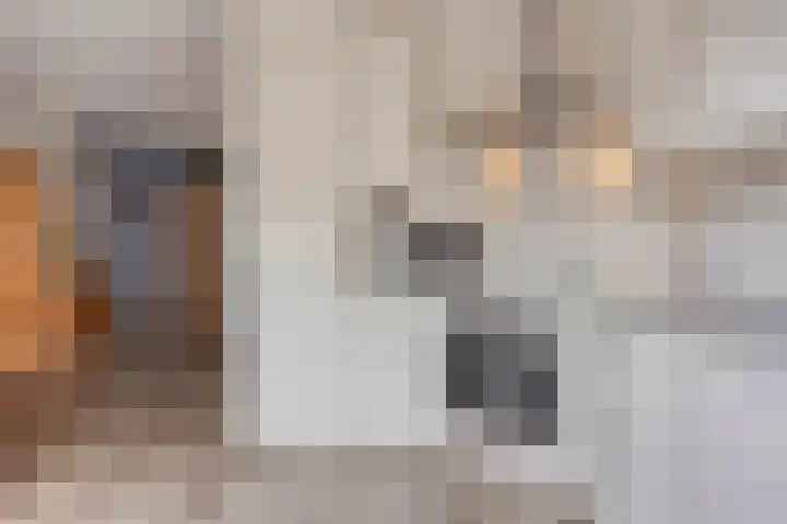 de Huisstede 7 Olst thumbnail 15