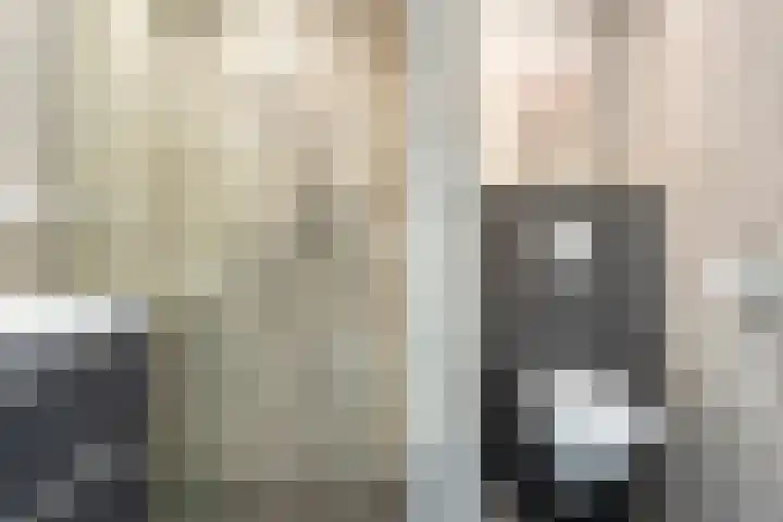 de Huisstede 7 Olst thumbnail 21