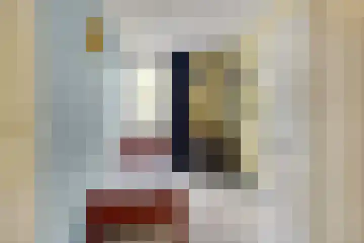 de Huisstede 7 Olst thumbnail 25