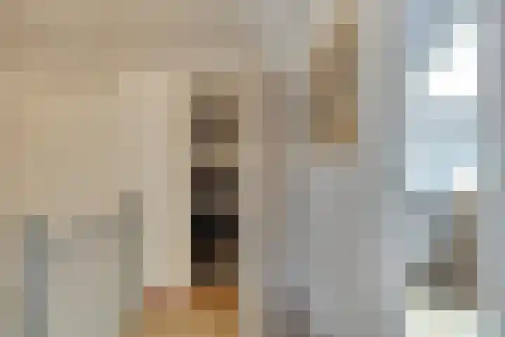 de Huisstede 7 Olst thumbnail 28