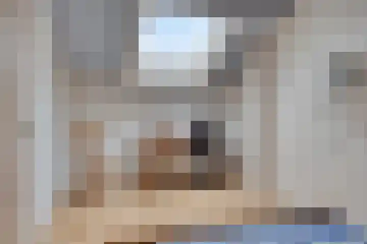 de Huisstede 7 Olst thumbnail 29