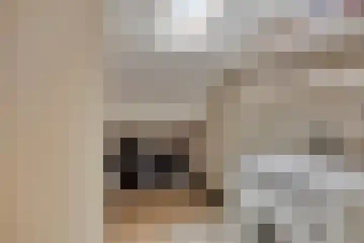 de Huisstede 7 Olst thumbnail 31
