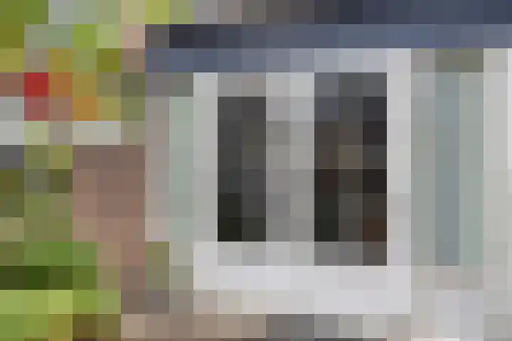 de Huisstede 7 Olst thumbnail 35