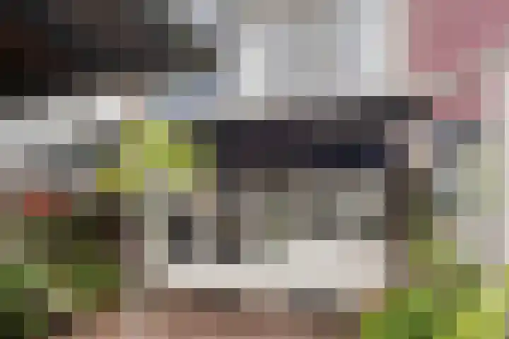 de Huisstede 7 Olst thumbnail 36