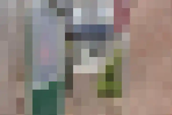 de Huisstede 7 Olst thumbnail 37