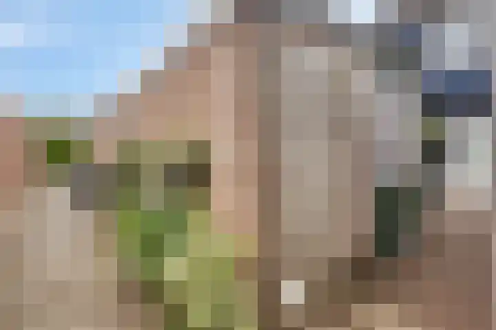 de Huisstede 7 Olst thumbnail 38
