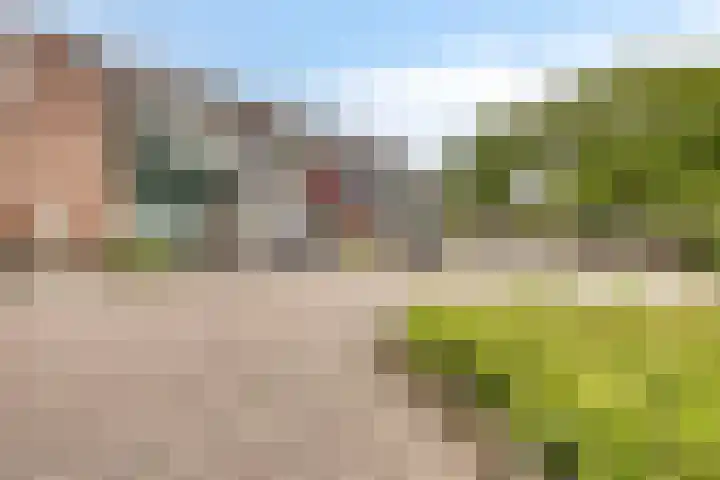de Huisstede 7 Olst thumbnail 39