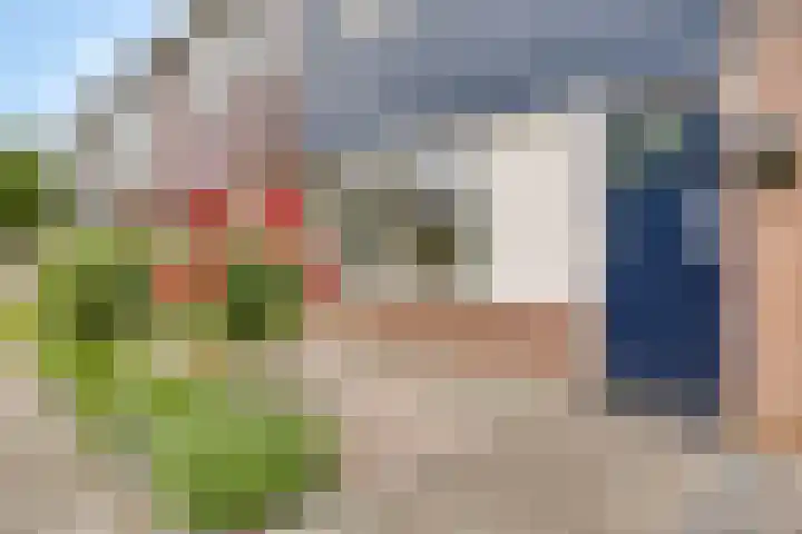 de Huisstede 7 Olst thumbnail 4