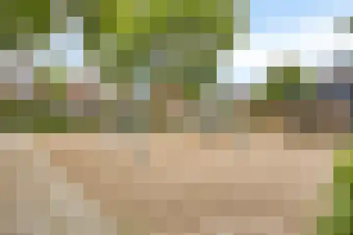 de Huisstede 7 Olst thumbnail 40
