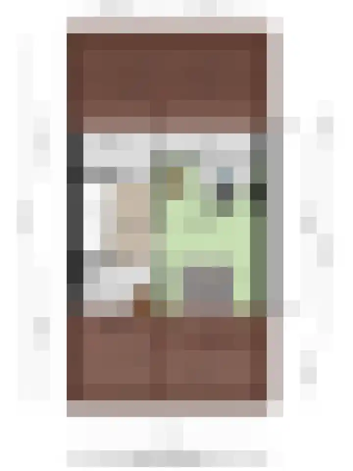 de Huisstede 7 Olst thumbnail 43