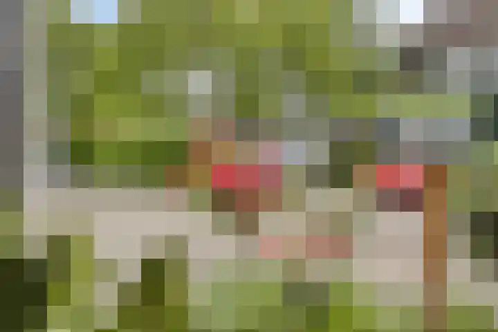 de Huisstede 7 Olst thumbnail 5
