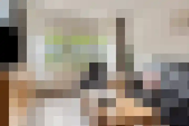 de Huisstede 7 Olst thumbnail 6