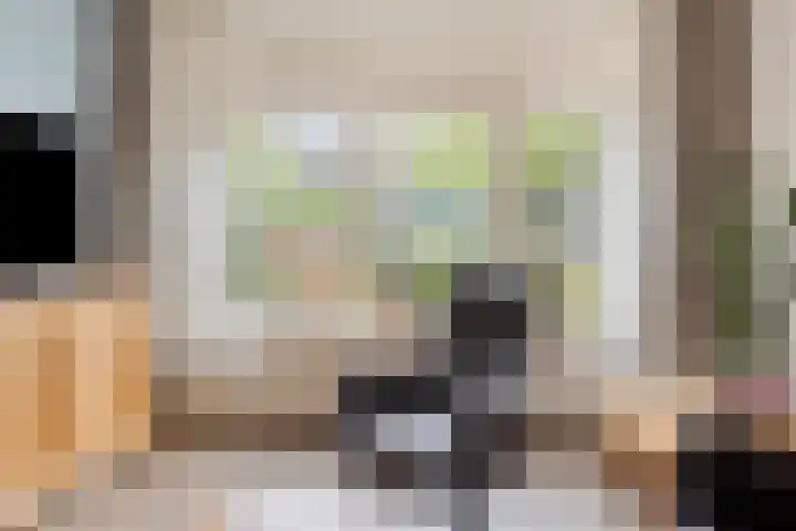 de Huisstede 7 Olst thumbnail 7