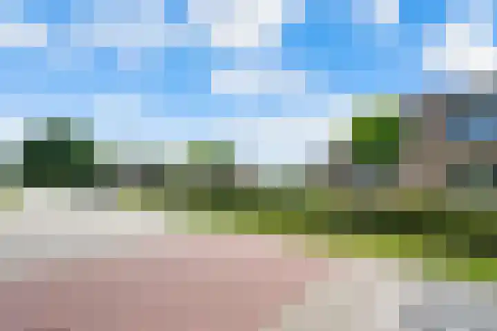 De Huizen 52 Zwartemeer thumbnail 35
