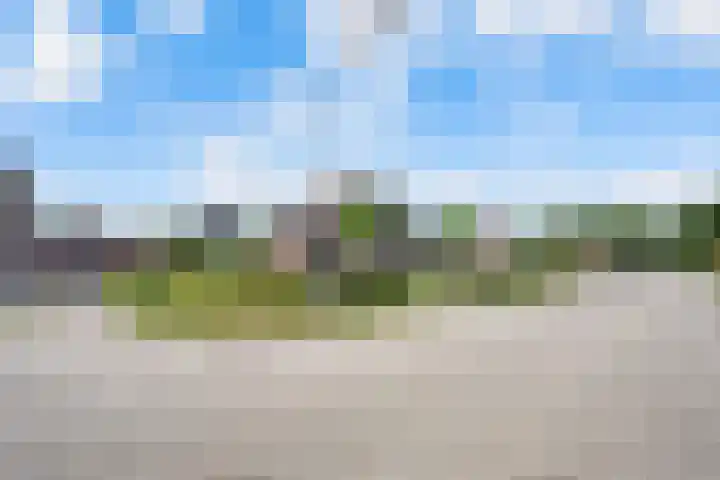 De Huizen 52 Zwartemeer thumbnail 36
