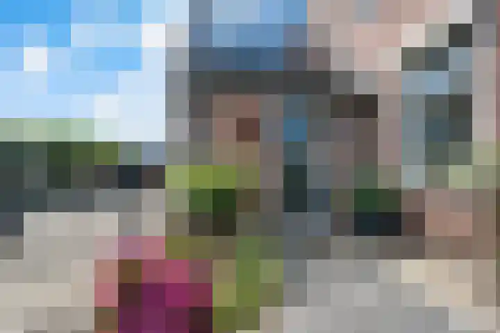 De Huizen 52 Zwartemeer thumbnail 38