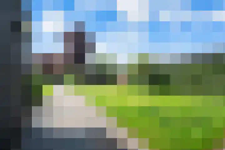 De Huizen 52 Zwartemeer thumbnail 41